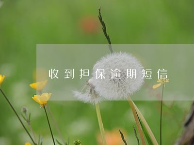 收到担保逾期短信 收到担保逾期短信