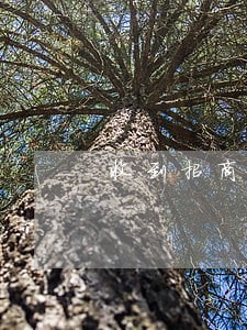 收到招商银行逾期滞纳金通知短信 收到招商银行逾期滞纳金通知短信