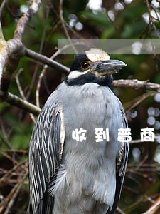 收到普商消费金融逾期电话 收到普商消费金融逾期电话