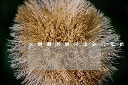 收到朋友逾期还款的短信
