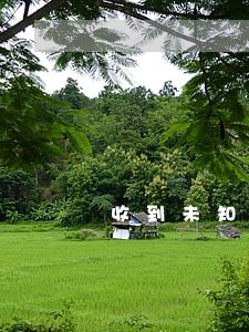 收到未知的逾期短信 收到未知的逾期短信
