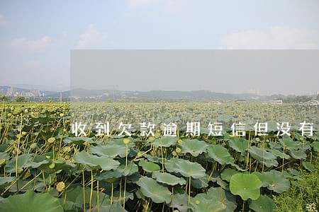 收到欠款逾期短信但没有平台名称 收到欠款逾期短信但没有平台名称
