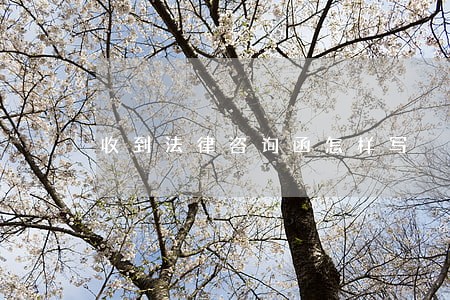 收到法律咨询函怎样写