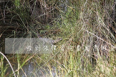 收到法律咨询费发票做会计分录 收到法律咨询费发票做会计分录