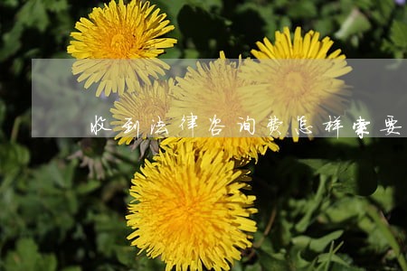 收到法律咨询费怎样索要 收到法律咨询费怎样索要