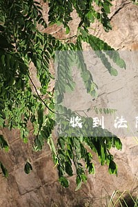 收到法院传票要签名吗 收到法院传票要签名吗
