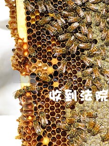 收到法院判决书要注意什么 收到法院判决书要注意什么