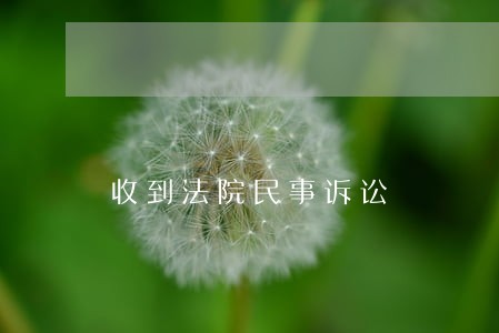 收到法院民事诉讼 收到法院民事诉讼