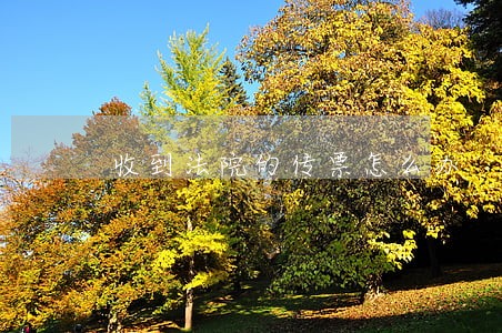 收到法院的传票怎么办 收到法院的传票怎么办