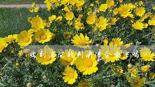 收到法院的判决书会坐牢吗 收到法院的判决书会坐牢吗
