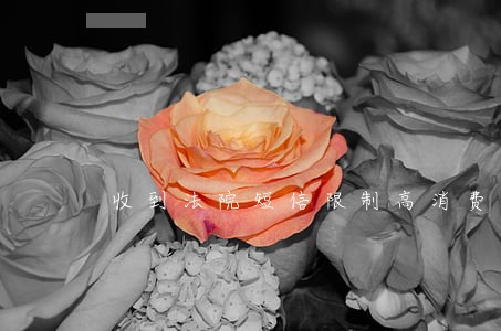 收到法院短信限制高消费怎么处理