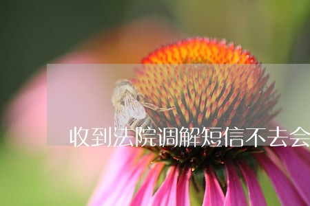 收到法院调解短信不去会怎样 收到法院调解短信不去会怎样