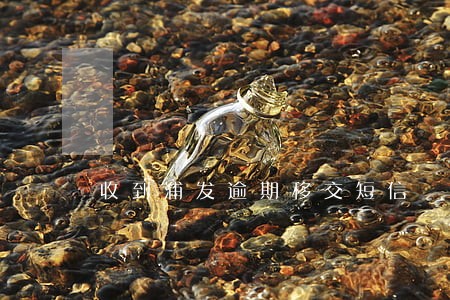 收到浦发逾期移交短信 收到浦发逾期移交短信