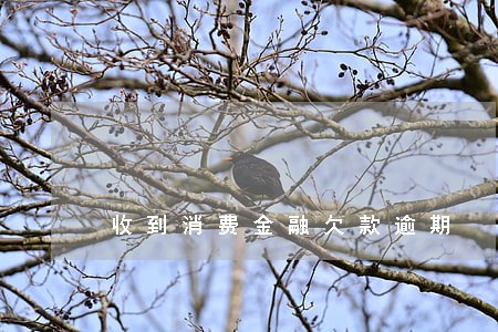 收到消费金融欠款逾期 收到消费金融欠款逾期