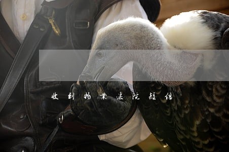 收到物业法院短信 收到物业法院短信