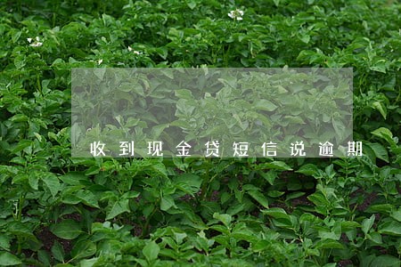 收到现金贷短信说逾期 收到现金贷短信说逾期