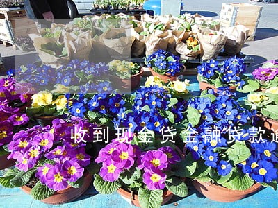收到现金贷金融贷款逾期短讯 收到现金贷金融贷款逾期短讯