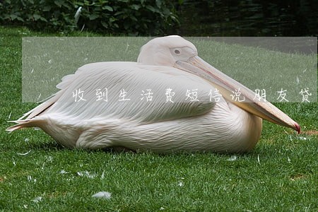收到生活费短信说朋友贷款逾期 收到生活费短信说朋友贷款逾期