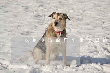 收到电话说汽车租金已逾期 收到电话说汽车租金已逾期