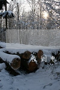 收到电话说花呗逾期了 收到电话说花呗逾期了