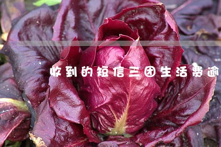 收到的短信三团生活费逾期 收到的短信三团生活费逾期