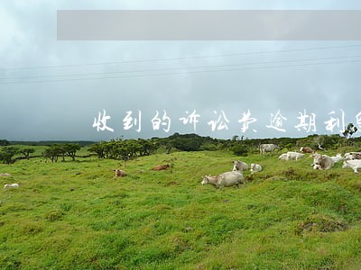 收到的诉讼费逾期利息 收到的诉讼费逾期利息