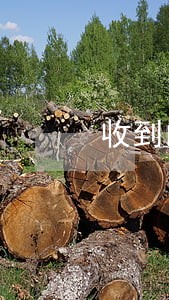 收到的逾期利息咋给对方开发票
