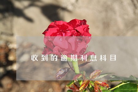 收到的逾期利息科目
