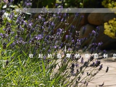 收到的逾期的货款利息 收到的逾期的货款利息