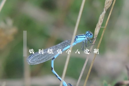 收到短信个人逾期 收到短信个人逾期