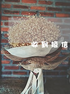 收到短信及时雨逾期信息 收到短信及时雨逾期信息