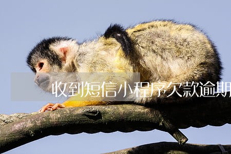 收到短信小程序欠款逾期严重 收到短信小程序欠款逾期严重