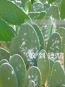 收到短信已逾期 收到短信已逾期