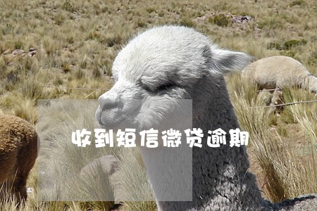 收到短信微贷逾期 收到短信微贷逾期