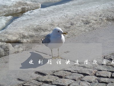 收到短信快速借款逾期 收到短信快速借款逾期