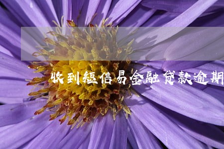 收到短信易金融贷款逾期 收到短信易金融贷款逾期