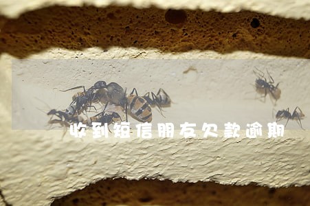 收到短信朋友欠款逾期 收到短信朋友欠款逾期