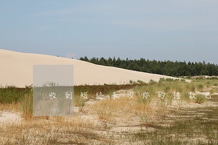 收到短信来呗你的借款已逾期 收到短信来呗你的借款已逾期