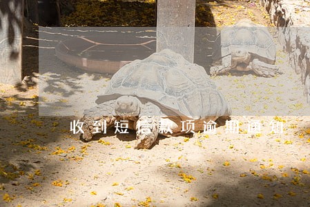 收到短信款项逾期通知 收到短信款项逾期通知