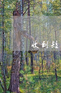 收到短信称信用卡逾期 收到短信称信用卡逾期