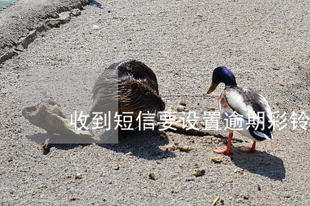 收到短信要设置逾期彩铃