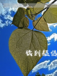 收到短信说我严重逾期是怎么回事 收到短信说我严重逾期是怎么回事