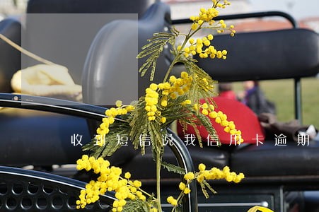 收到短信说我信用卡逾期 收到短信说我信用卡逾期