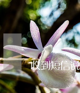 收到短信说我有逾期 收到短信说我有逾期
