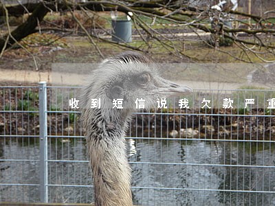 收到短信说我欠款严重逾期 收到短信说我欠款严重逾期