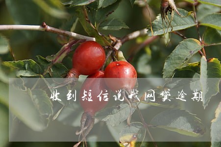 收到短信说我网贷逾期 收到短信说我网贷逾期