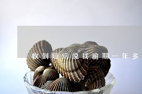 收到短信说我逾期一年多了 收到短信说我逾期一年多了