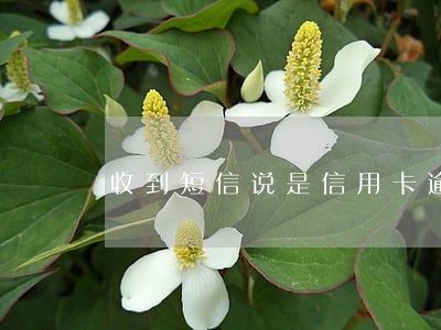收到短信说是信用卡逾期集体诉讼