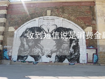 收到短信说是消费金融逾期 收到短信说是消费金融逾期