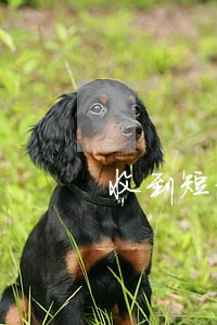 收到短信说有逾期带队上门 收到短信说有逾期带队上门